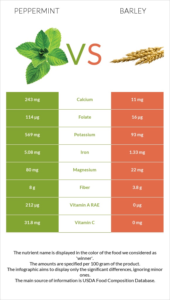 Peppermint vs Barley infographic