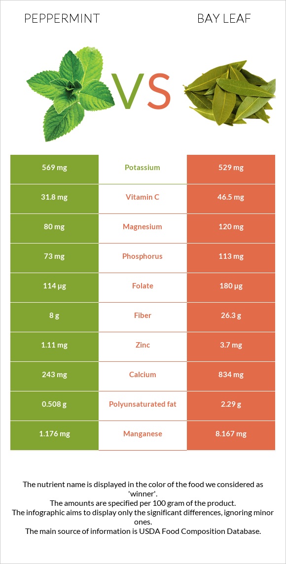 Peppermint vs Bay leaf infographic