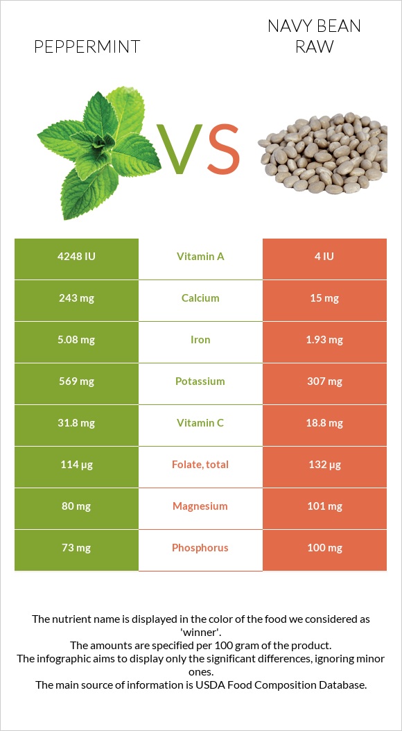 Peppermint vs Navy bean raw infographic