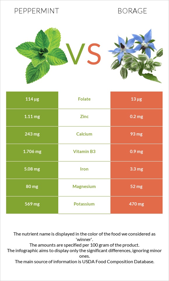 Peppermint vs Borage infographic