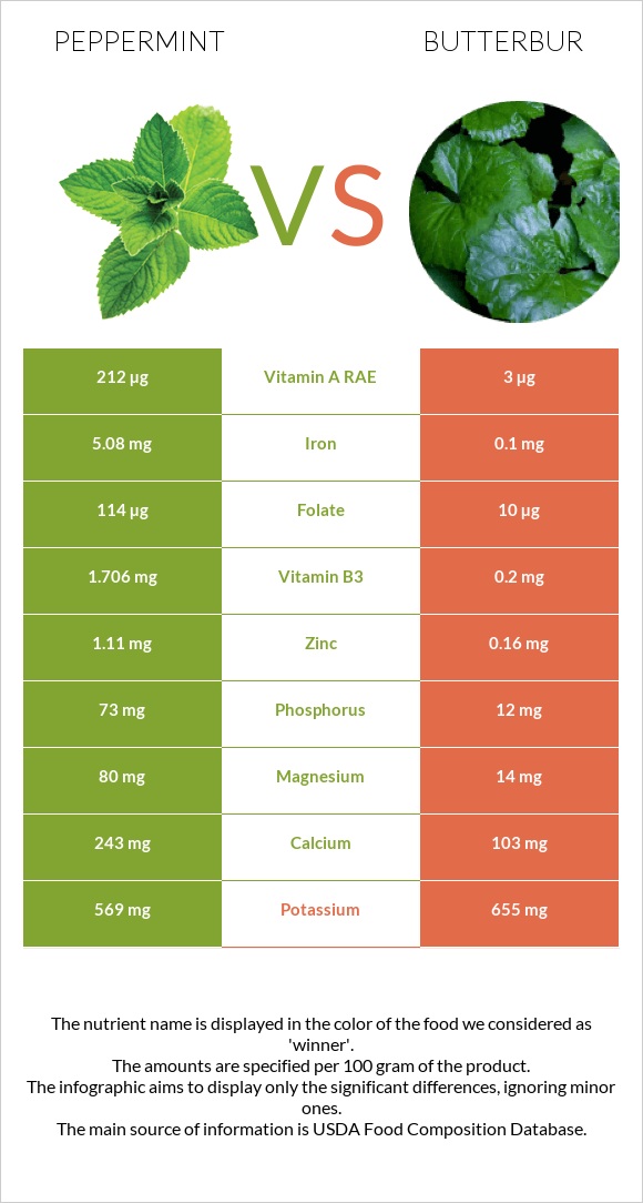 Անանուխ vs Butterbur infographic