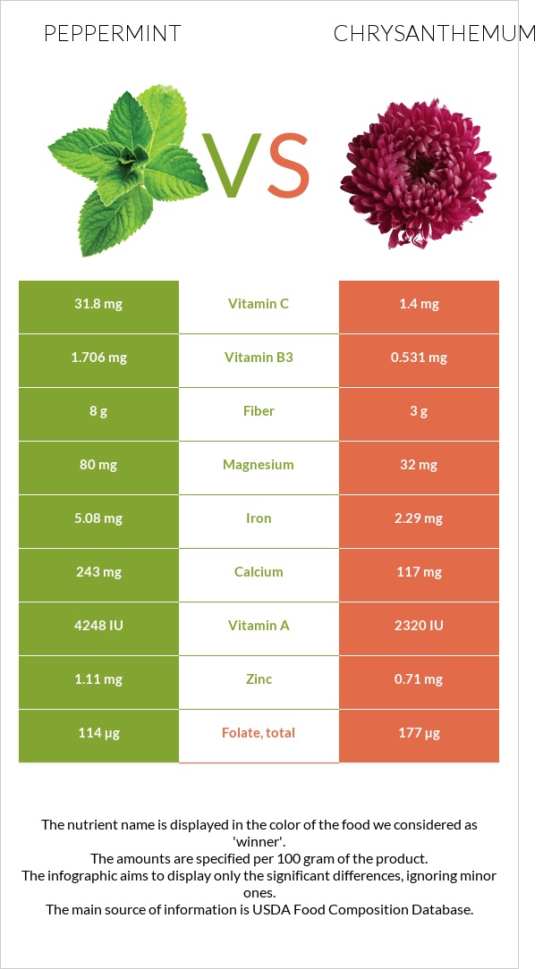 Peppermint vs Chrysanthemum infographic