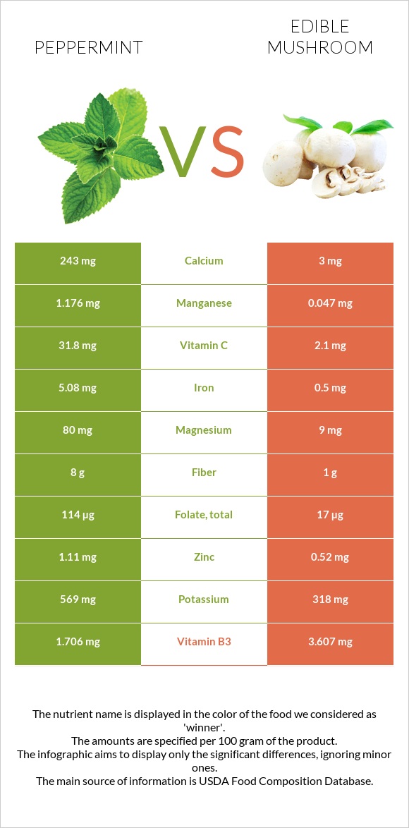 Peppermint vs Edible mushroom infographic