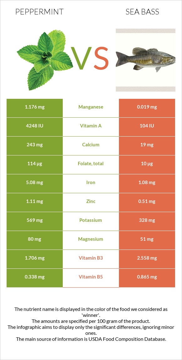 Peppermint vs Sea bass infographic