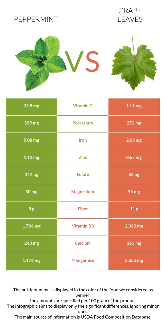 Անանուխ vs Խաղողի թուփ infographic