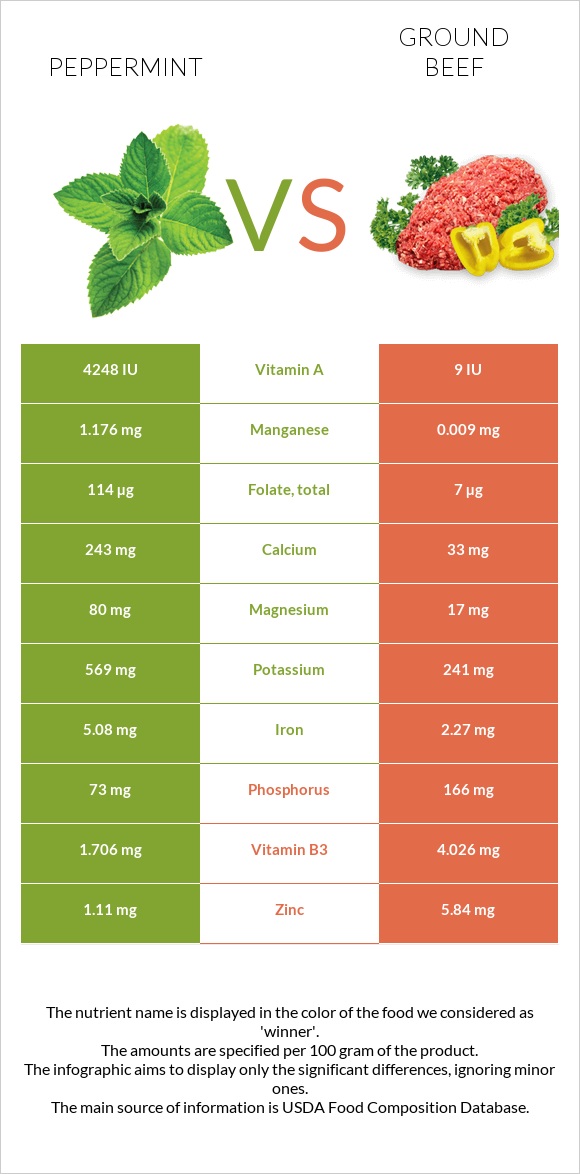 Peppermint vs Ground beef infographic