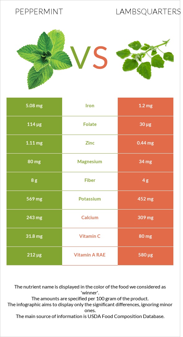 Անանուխ vs Lambsquarters infographic