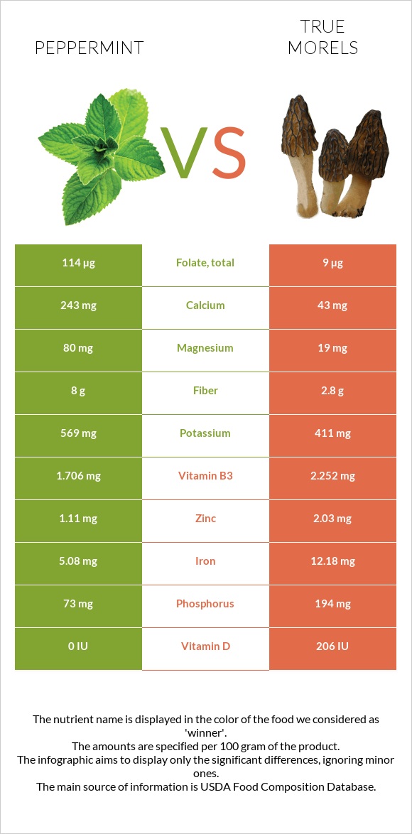 Peppermint vs True morels infographic