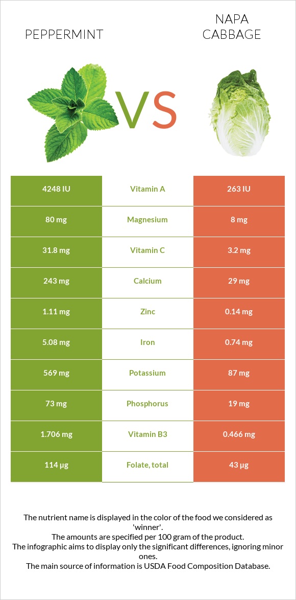 Peppermint vs Napa cabbage infographic