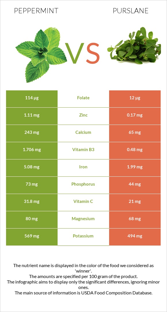 Անանուխ vs Purslane infographic