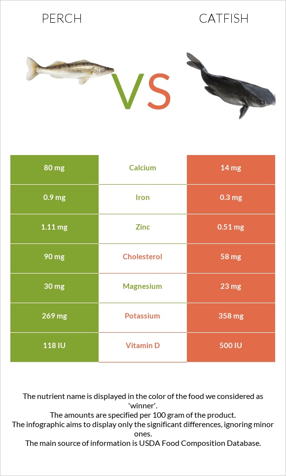 Perch vs Catfish infographic