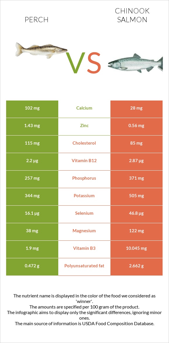 Perch vs Chinook salmon infographic