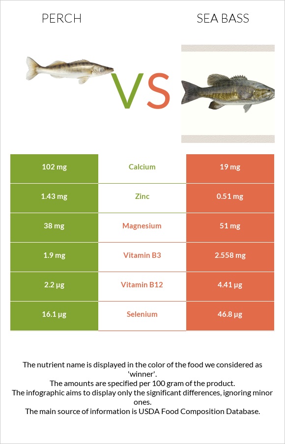 Perch vs Bass infographic