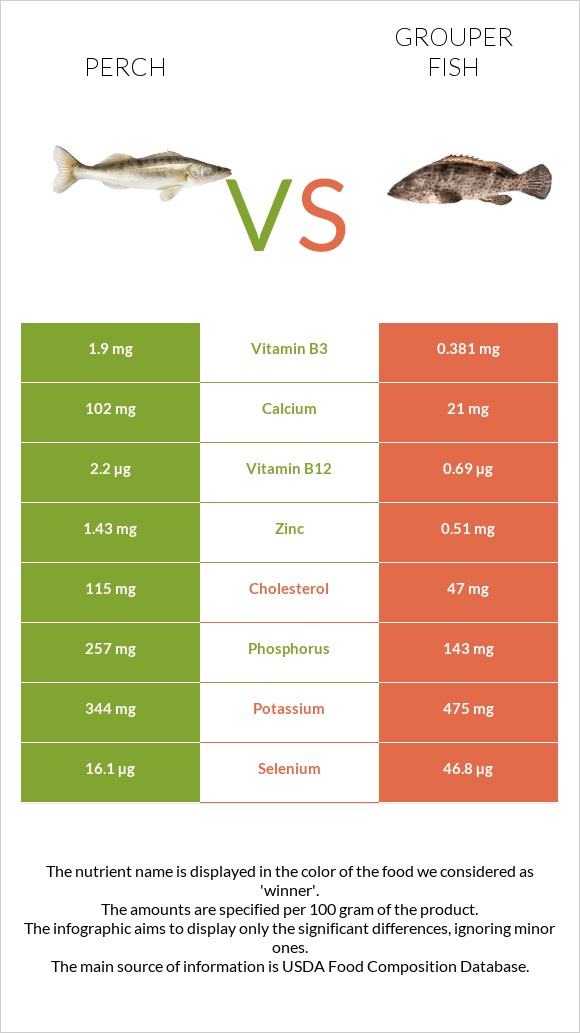 Perch vs Grouper fish infographic