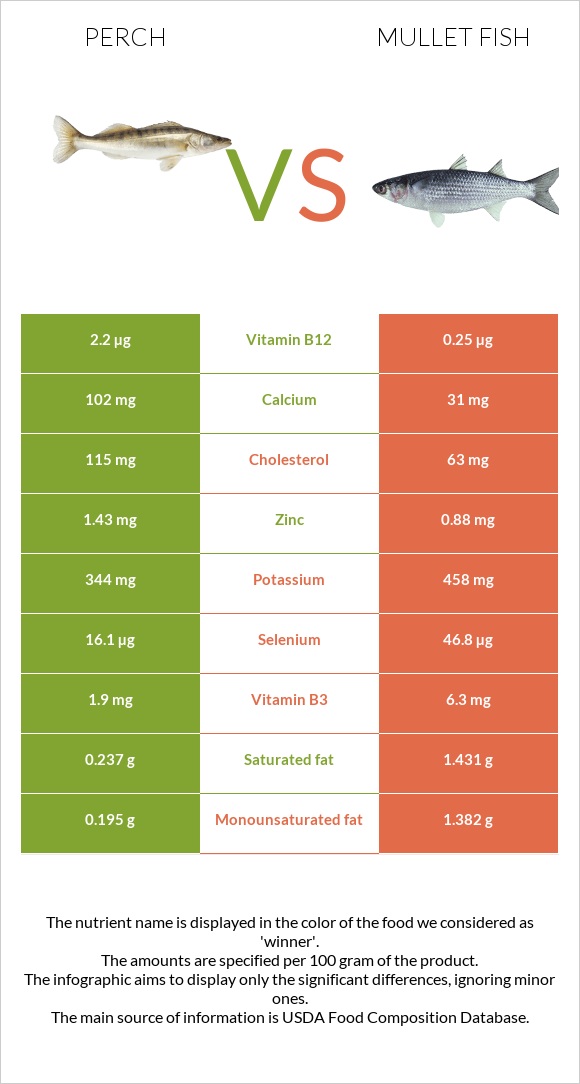 Perch vs Mullet fish infographic