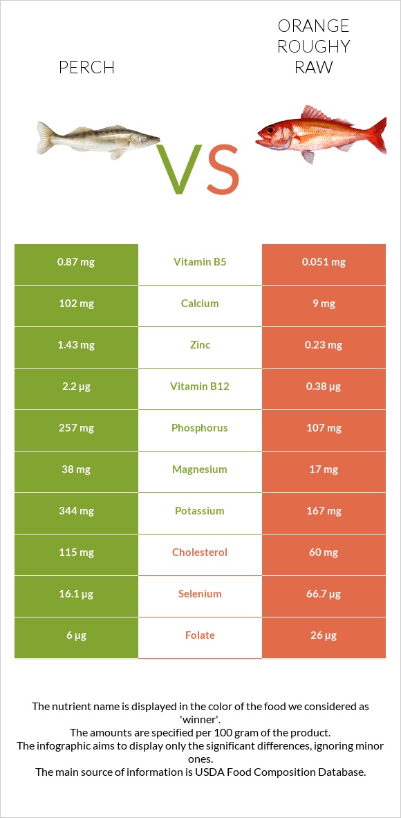 Perch vs Orange roughy raw infographic