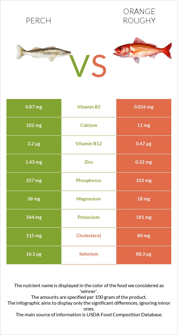 Perch vs Orange roughy infographic