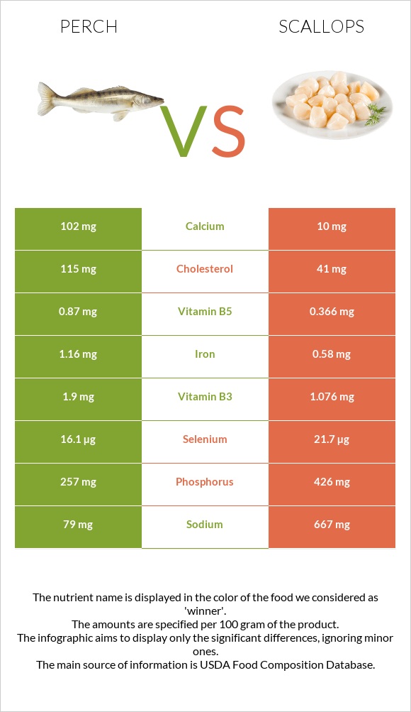 Perch vs Scallop infographic