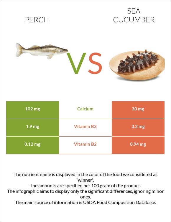 Perch vs Sea cucumber infographic