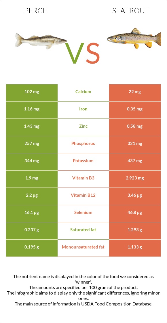 Perch vs Seatrout infographic