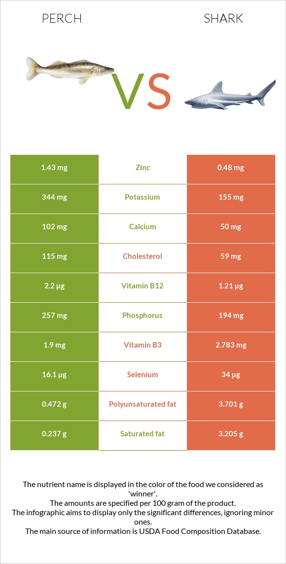 Perch vs Shark infographic