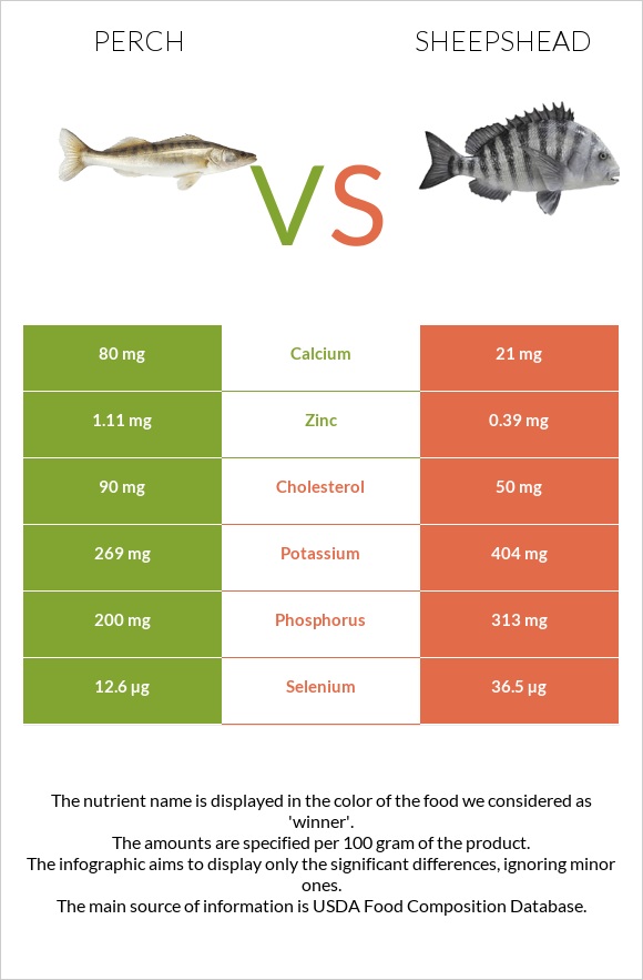 Perch vs Sheepshead infographic