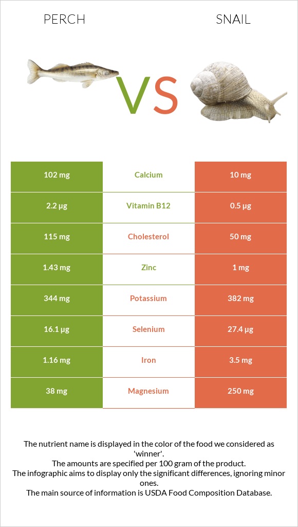 Perch vs Խխունջ infographic