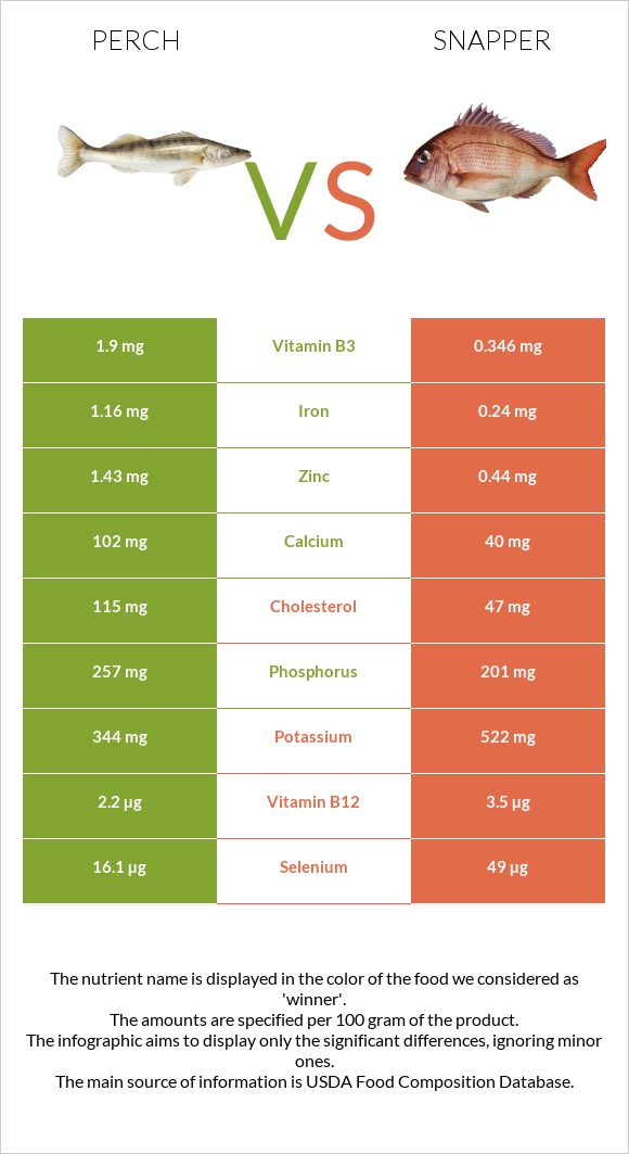 Perch vs Snapper infographic