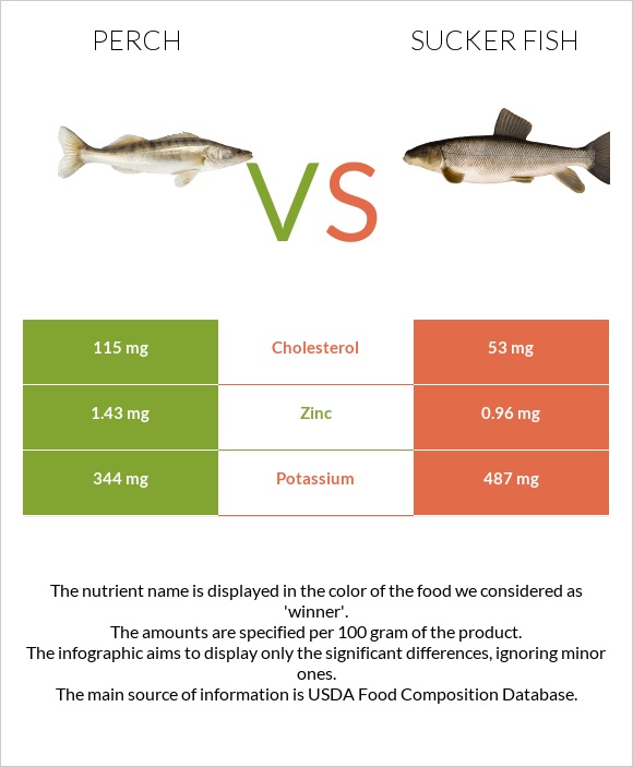 Perch vs Sucker fish infographic