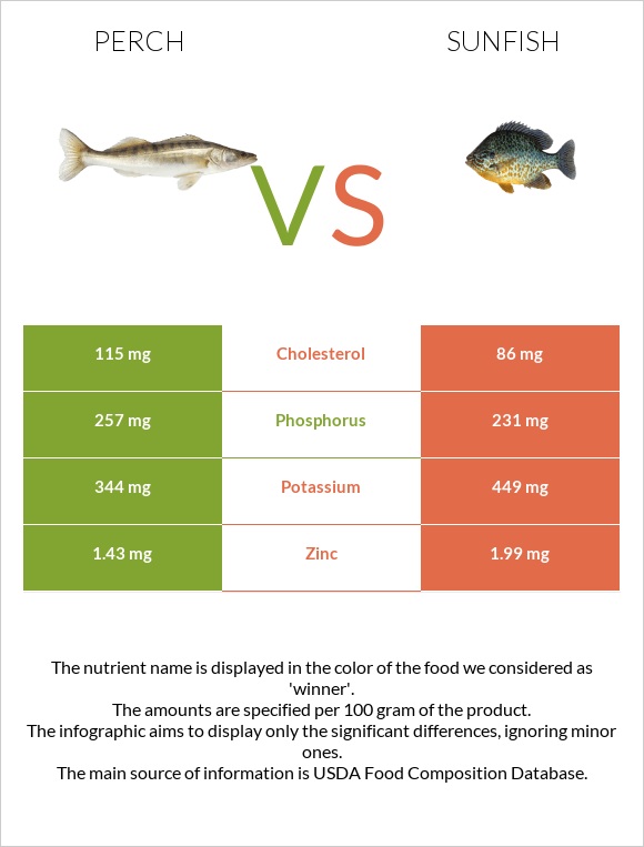 Perch vs Sunfish infographic