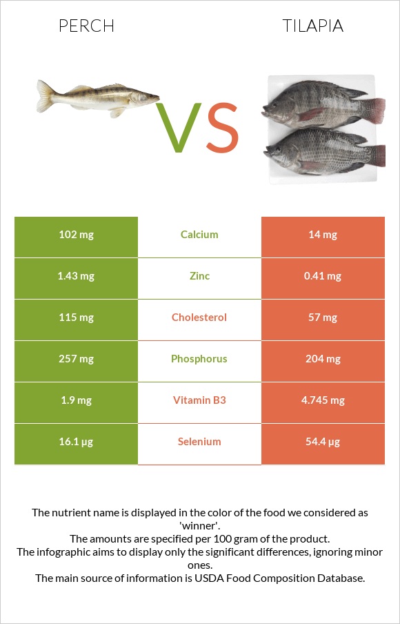 Perch vs Tilapia infographic