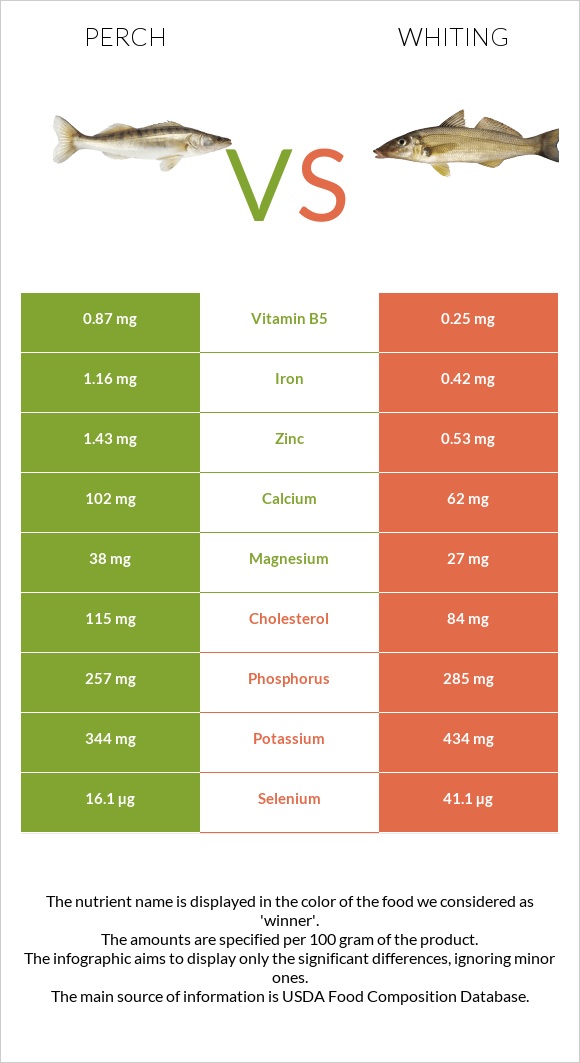 Perch vs Whiting infographic