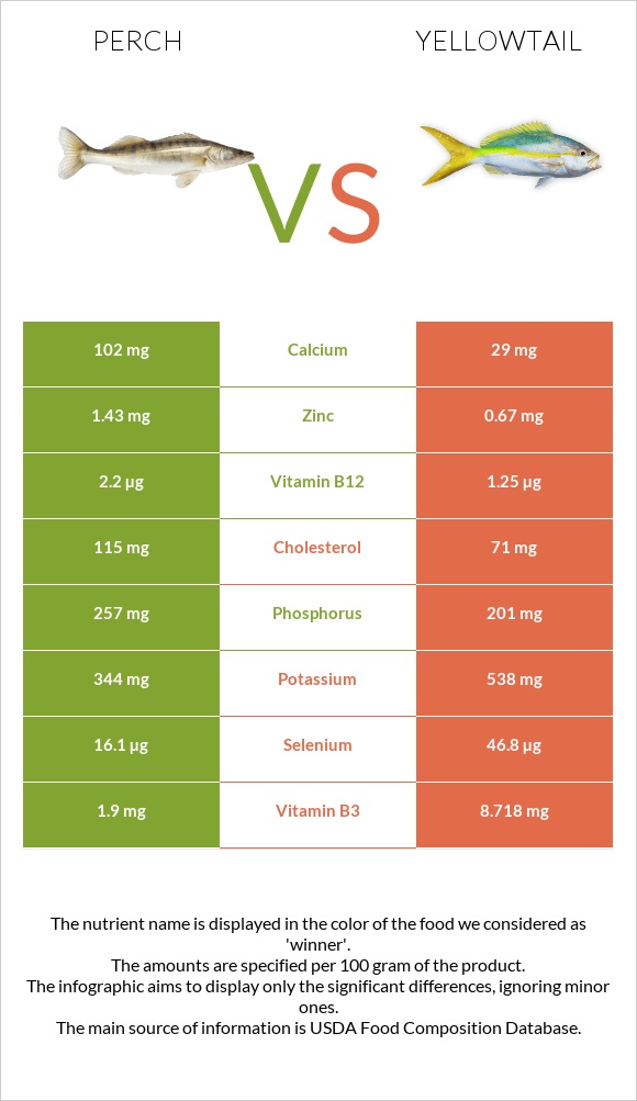 Perch vs Yellowtail infographic