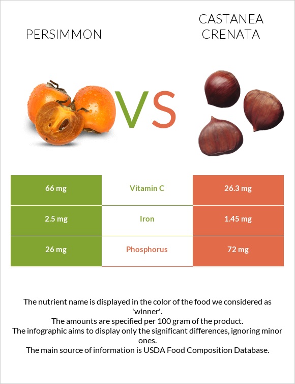 Persimmon vs Castanea crenata infographic