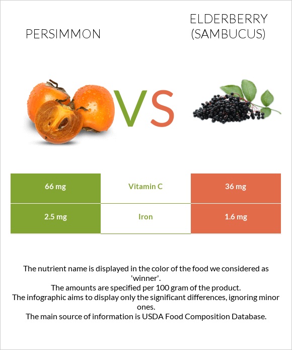 Persimmon vs Elderberry infographic