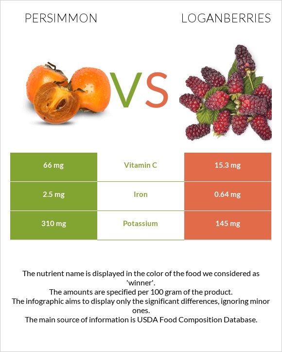 Persimmon vs Loganberries infographic