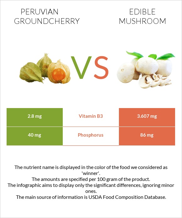 Peruvian groundcherry vs Edible mushroom infographic