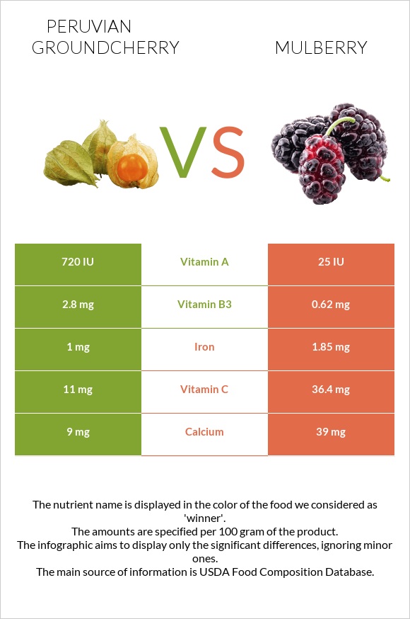 Peruvian groundcherry vs Mulberry infographic