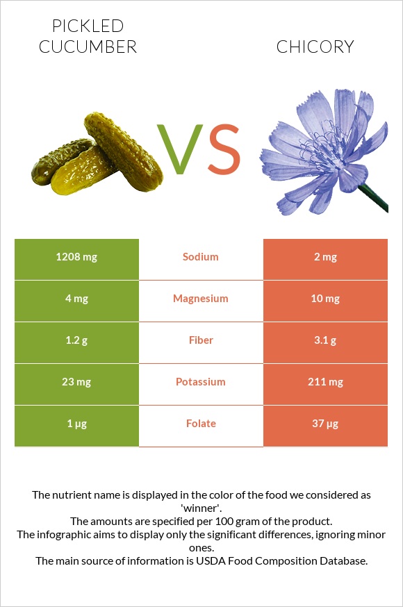 Pickled cucumber vs Chicory infographic