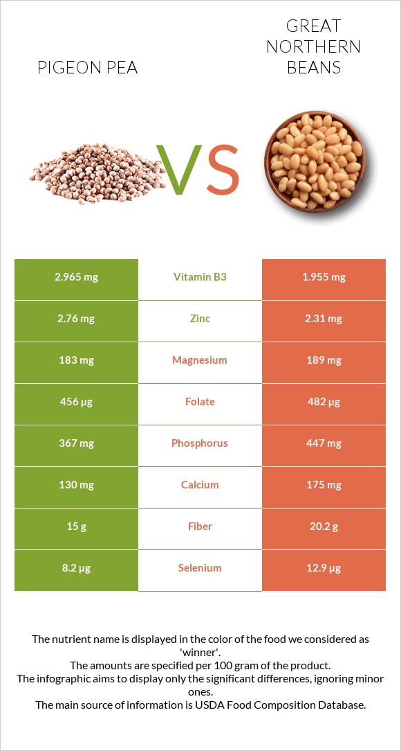 Pigeon pea vs Great northern beans infographic