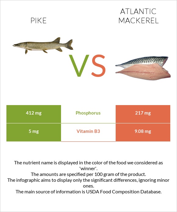 Pike vs Atlantic Mackerel infographic