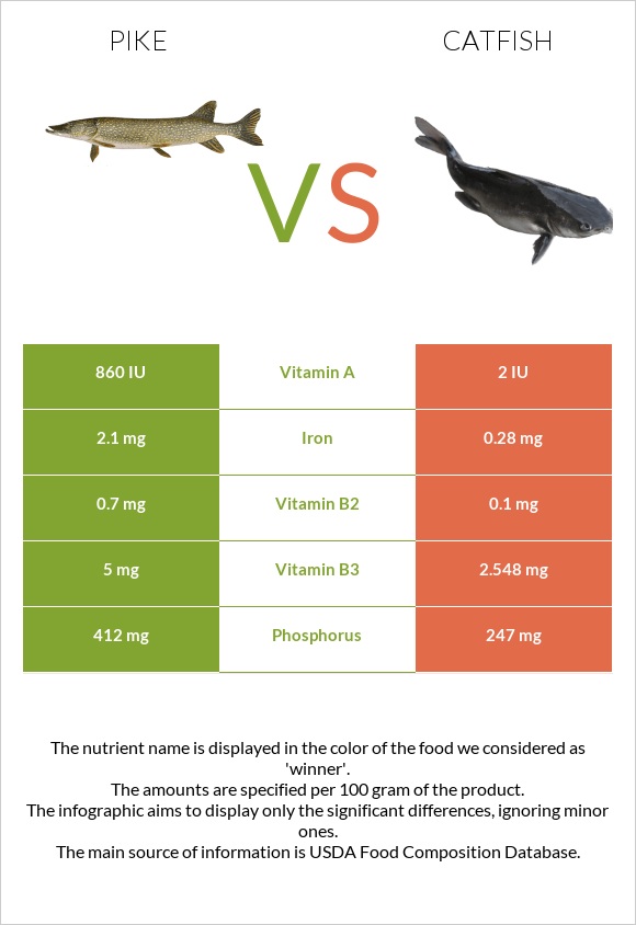 Pike vs Catfish infographic