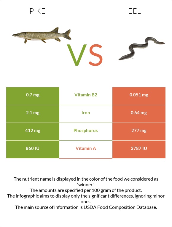 Pike vs Eel infographic