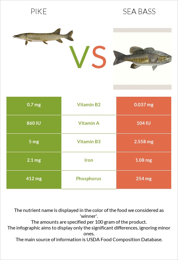 Pike vs Sea bass infographic