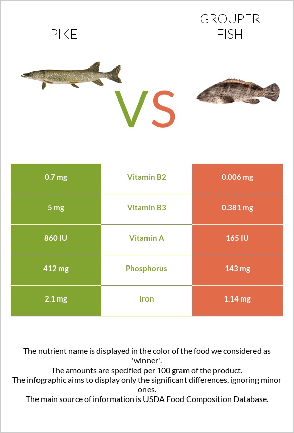 Pike vs Grouper fish infographic