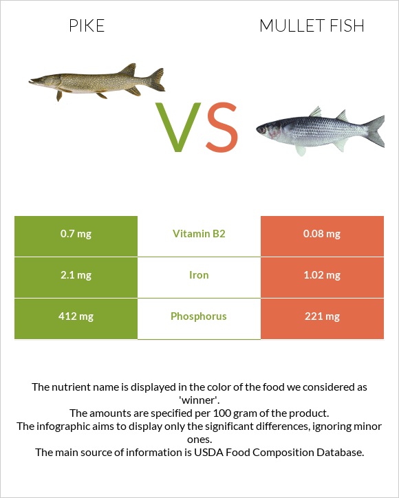 Pike vs Mullet fish infographic