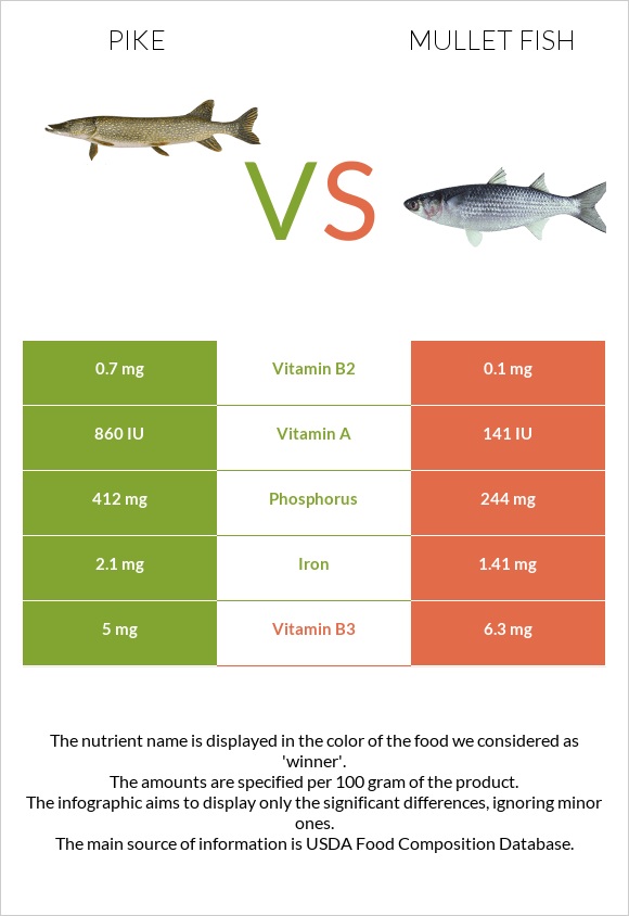 Pike vs Mullet fish infographic