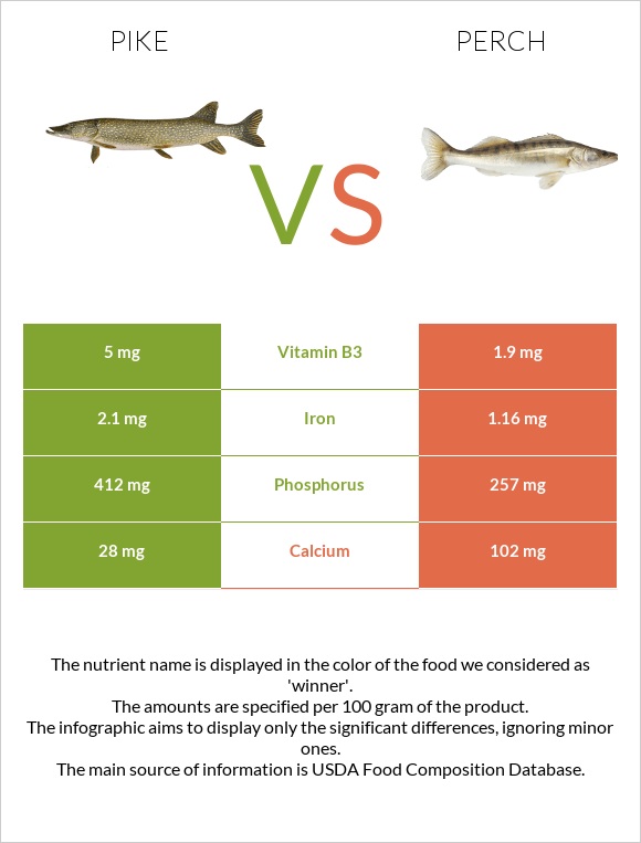 Pike vs Perch infographic
