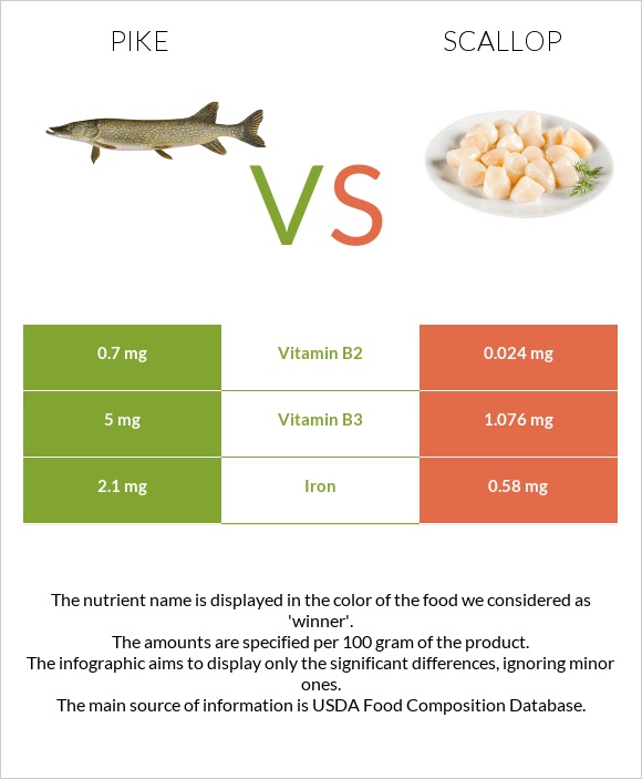 Pike vs Scallop infographic