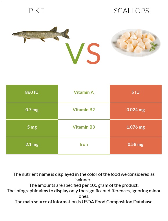 Pike vs Scallops infographic